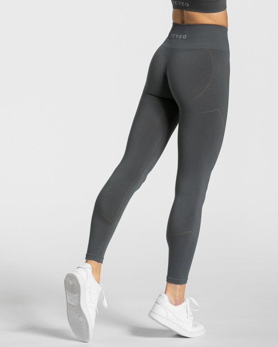 TEVEO True Leggings Tmavo Siva | 569748-BWA